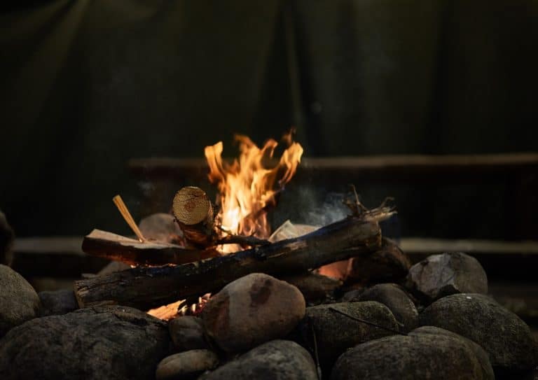 Is Wood an Element, Compound, or Mixture? TempMaster