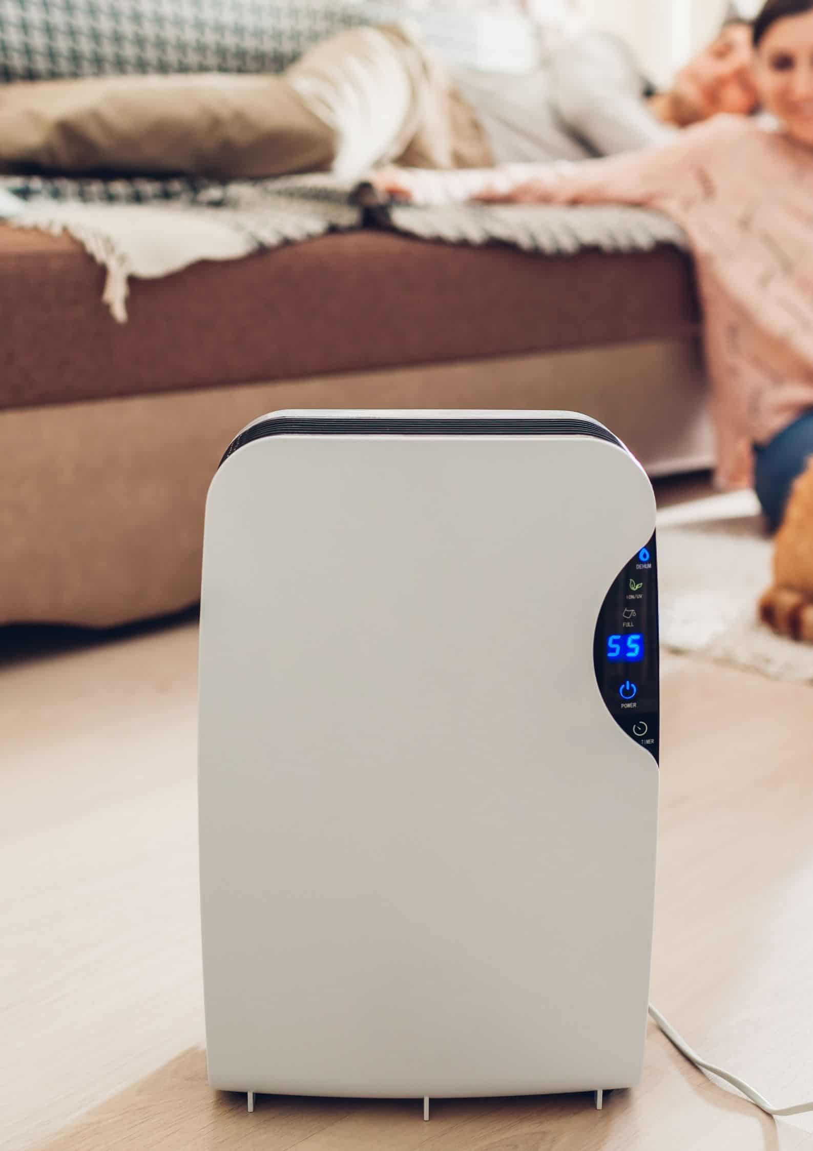 7 Best Mini Dehumidifiers Temperature Master