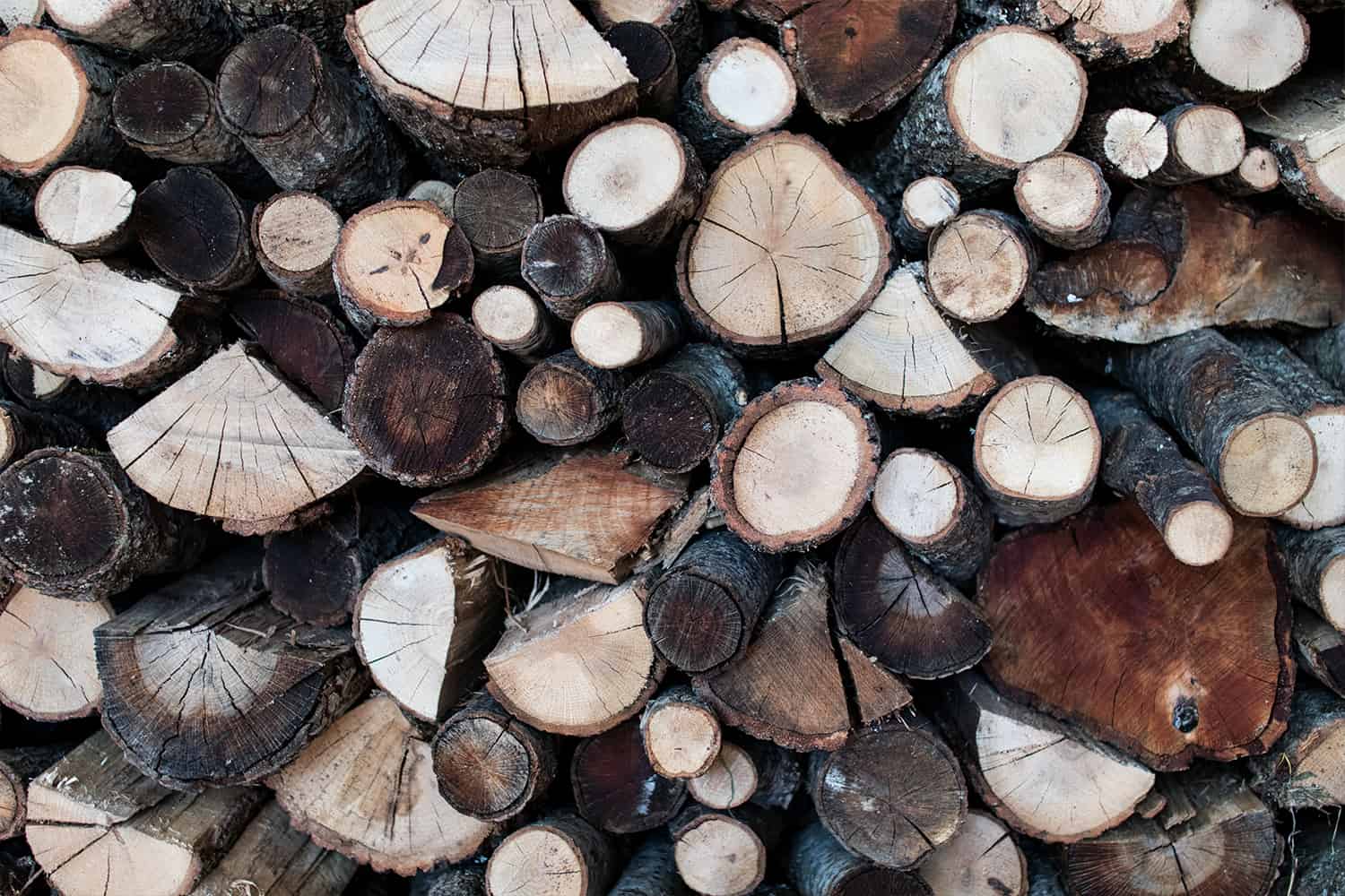 Seasoned and Unseasoned Wood What You Need to Know
