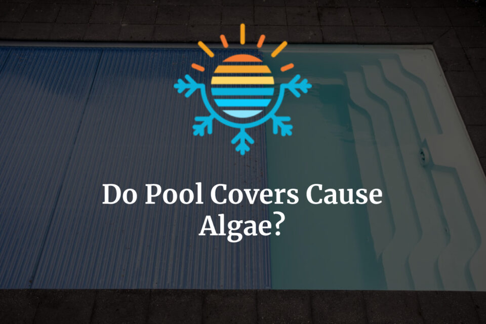 Do Pool Covers Cause Algae? Here’s the Answer Temperature Master