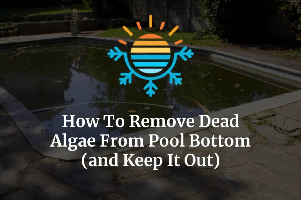 How To Remove Dead Algae From Pool Bottom (and Keep It Out) Temperature Master