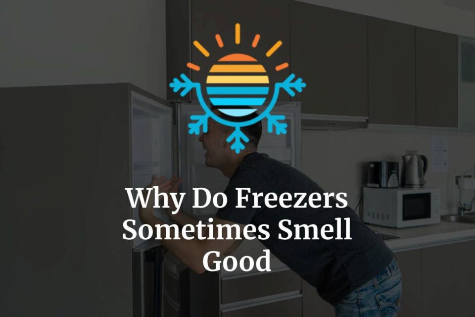 Why Do Freezers Sometimes Smell Good? Temperature Master
