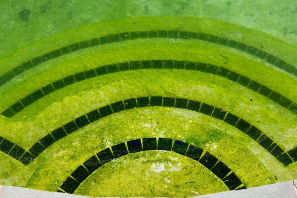 Discover the Reasons Why Your Pool Keeps Turning Green