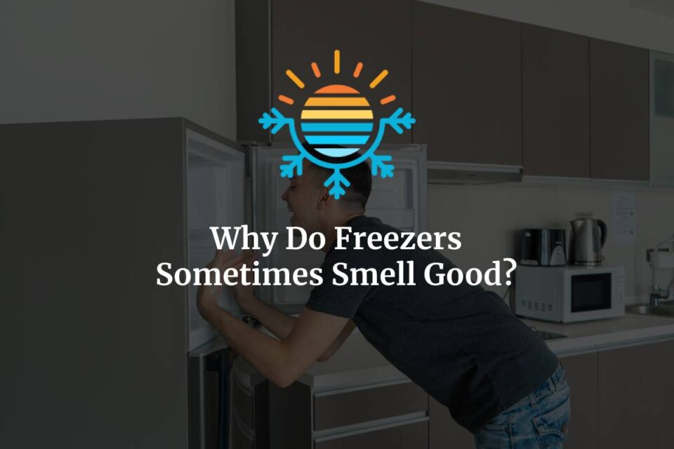 Why Freezers Can Have a Pleasant Odor?
